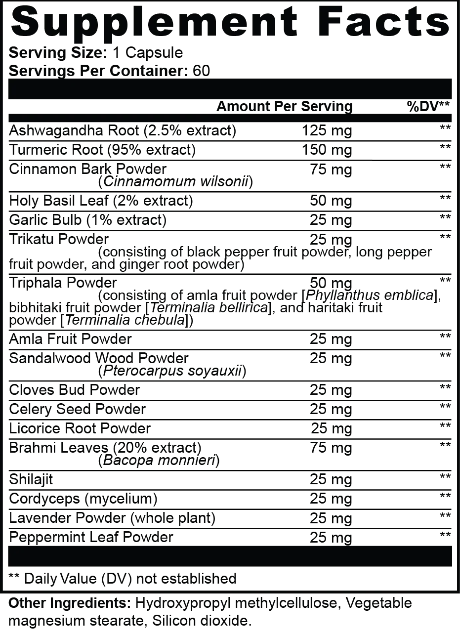 Ayurvedic Complex by Project M - Image 3